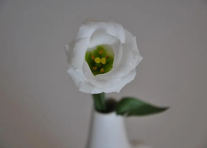 Apartment Telemark *